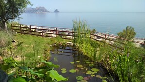 Een vijver met waterlelies, omringd door groen, een houten bruggetje en zicht op zee en verre bergen.