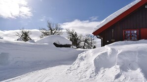 A snow-covered landscape with a wooden building featuring a red roof and a window with a red frame.