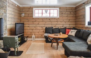 TV, fireplace, DVD player
