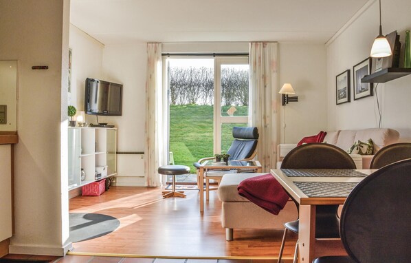 TV, fireplace, DVD player