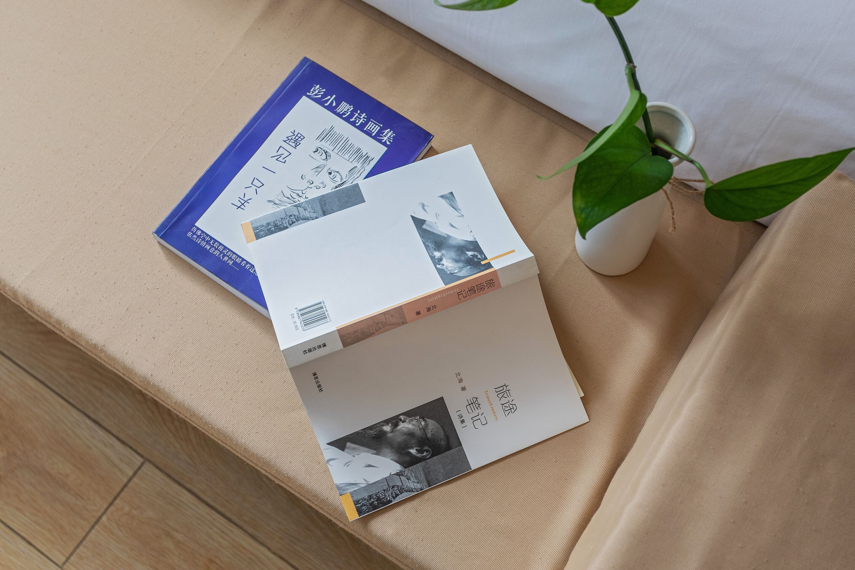 A book titled 'The Art of Poetry' and another book with a photograph on a beige fabric surface next to a white vase with a green plant.