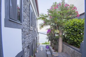 Área da propriedade