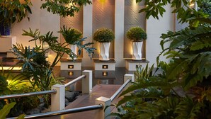 Un jardin intérieur moderne, agrémenté de diverses plantes et d’un escalier en bois.