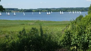 Botón de imagen sin clasificar, 5 de 26