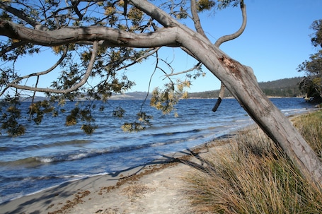 Una playa cerca. Snug Beach Cabin And Caravan Park