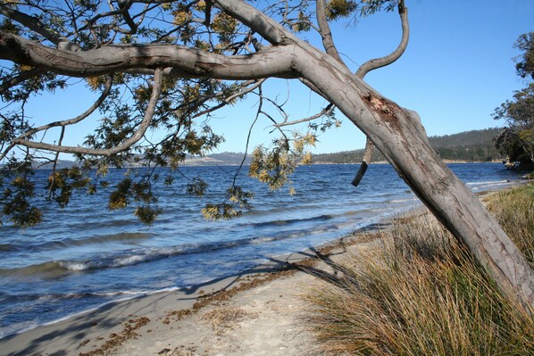 Beach nearby - Snug Beach Cabin And Caravan Park (Snug)