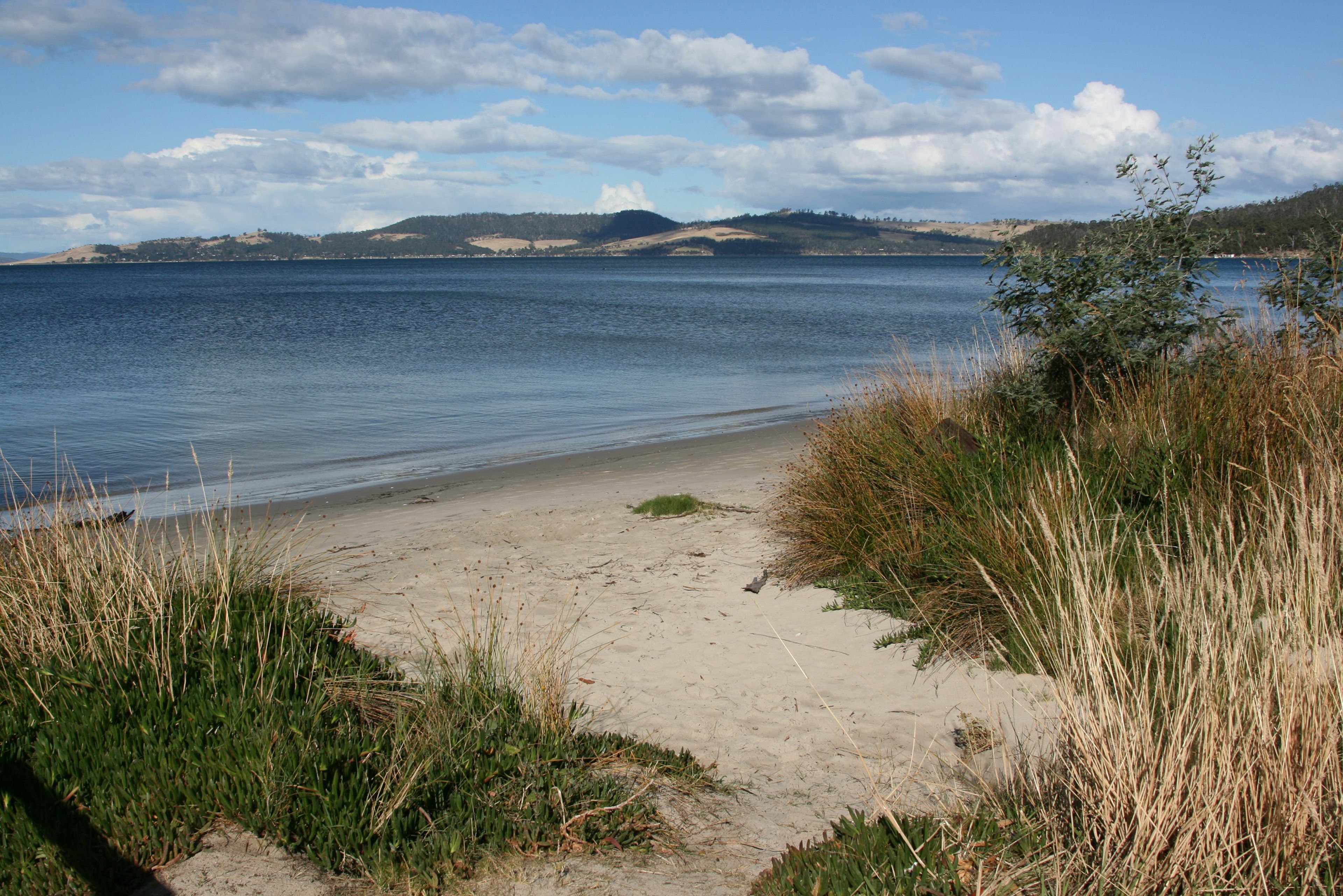 A beach with sand and grass, a calm lake, and hills in the background.
