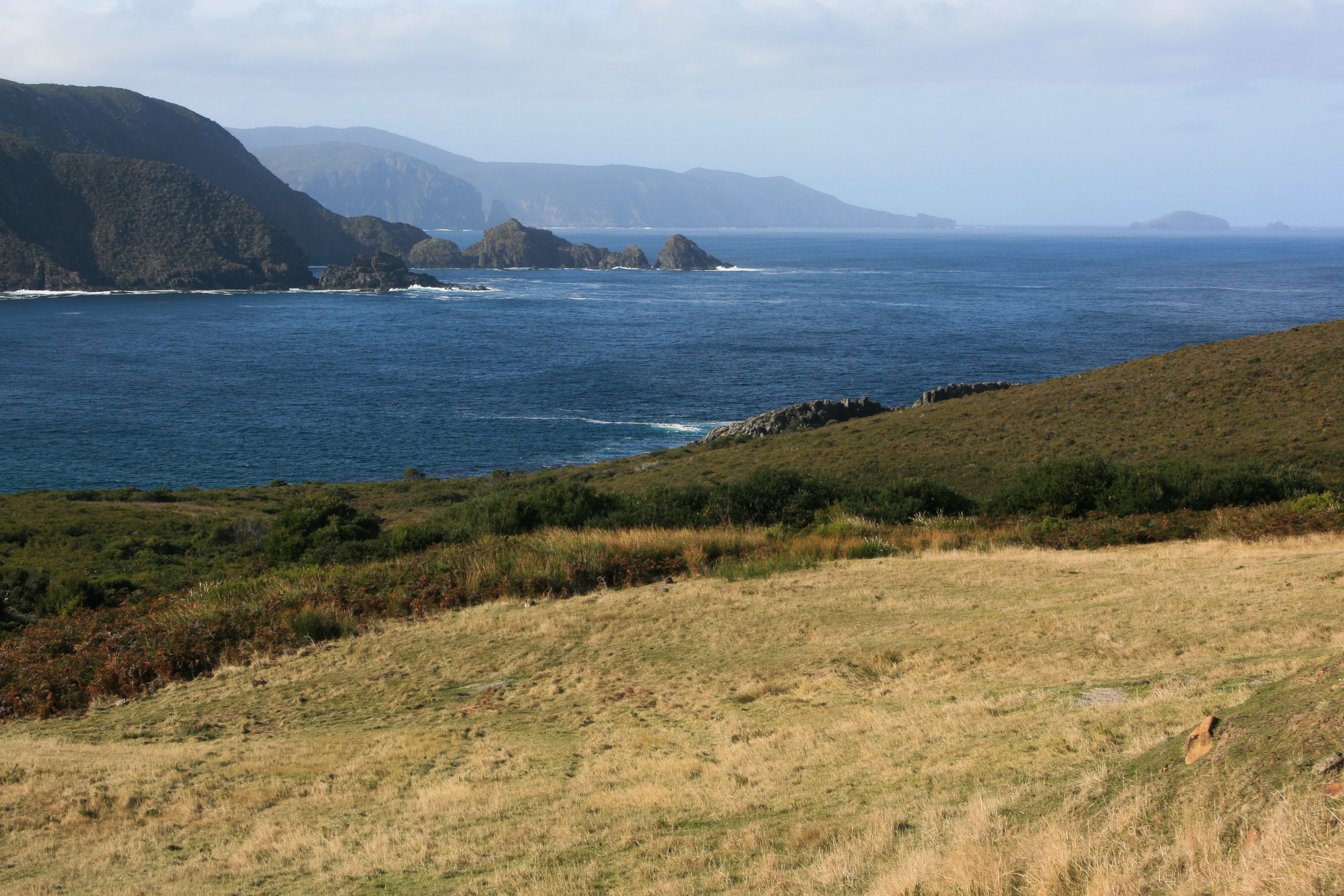 A coastal landscape with grassy hills and rocky outcrops.