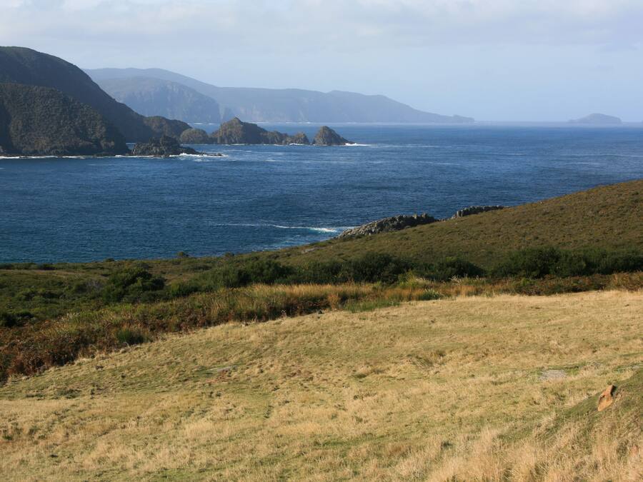 A coastal landscape with grassy hills and rocky outcrops.