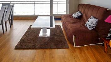 TV, DVD player, books