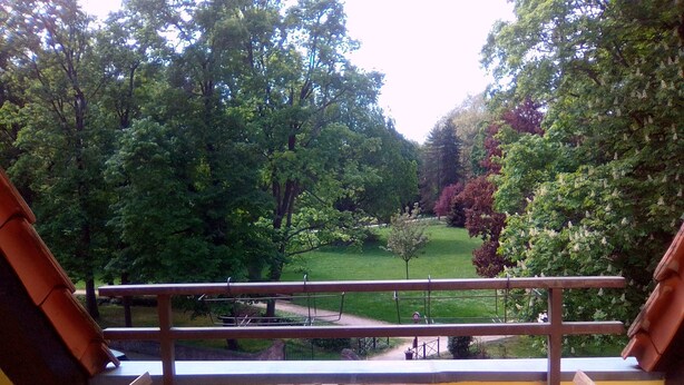 Un balcon avec une table et des chaises en bois, donnant sur un parc avec des arbres et une pelouse.