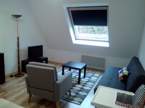 TV - Beautiful *** apartment between vineyards and Obernai ramparts (Obernai)