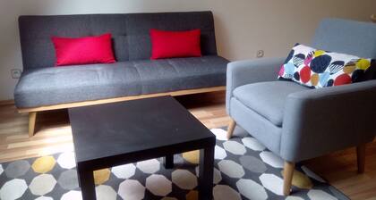 *** Apartamento entre viñedos y murallas de Obernai