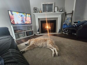 Smart-TV, Kamin, Videospiele, Bücher