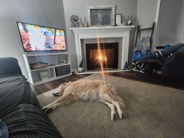 Smart TV, fireplace, video games, books