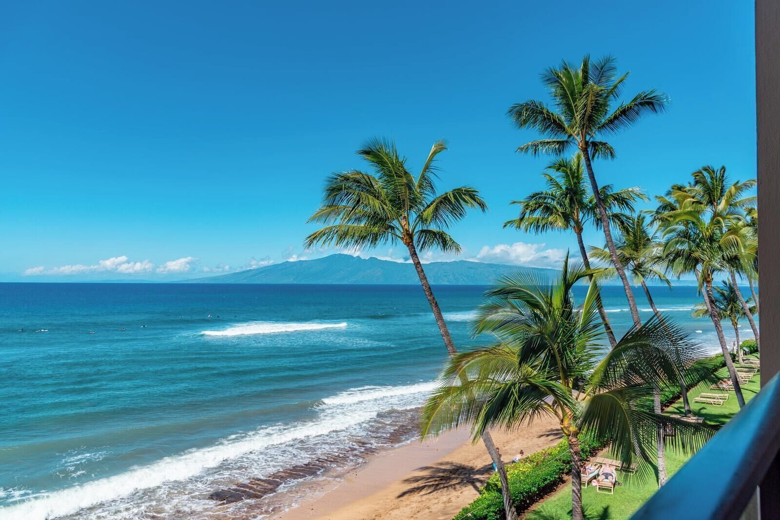 A beach view with palm trees and ocean waves.