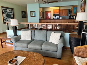 Älytelevisio, DVD-soitin, kirjoja, videokirjasto