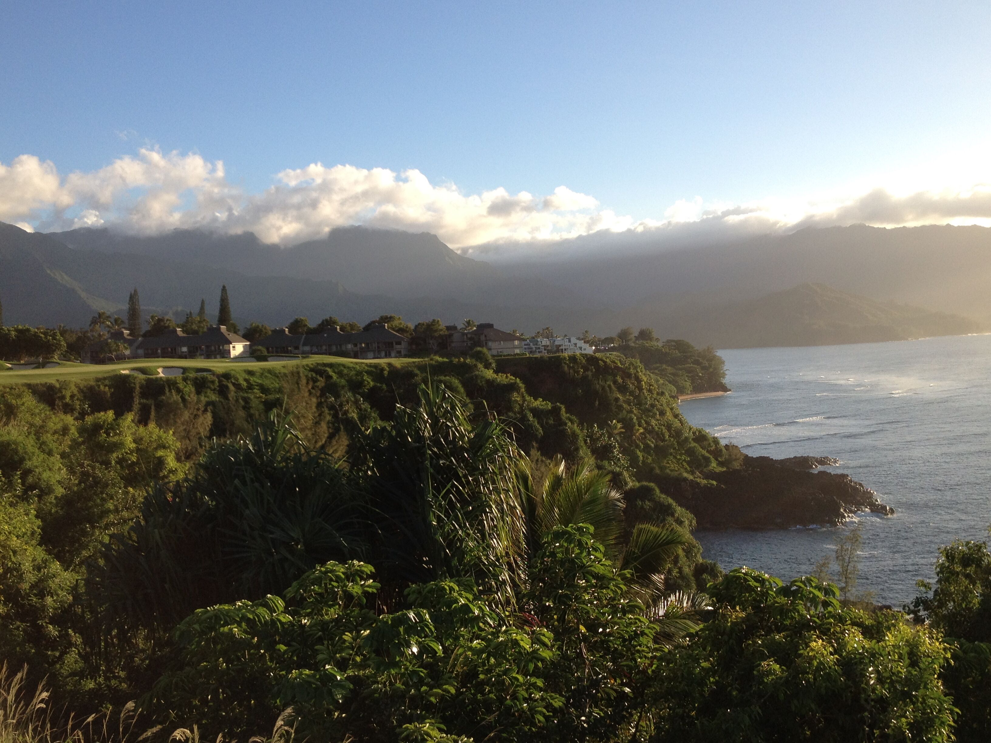 Puu Poa - Magnificent Oceanfront Condo - Photo 30