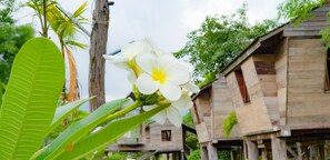 View from property - Bortong Thailue Resort (Chiang Rai)