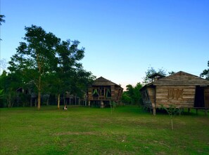 Property grounds - Bortong Thailue Resort (Chiang Rai)