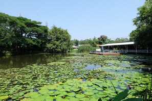 Vue depuis l’hébergement