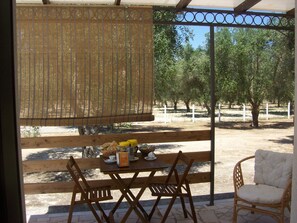Doppelzimmer, Terrasse | Terrasse/Patio