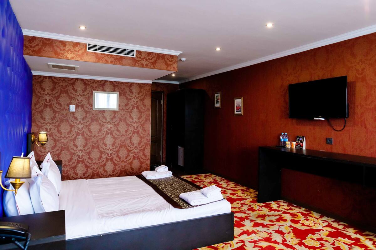 Une chambre d’hôtel avec un lit, un bureau, une télévision et une moquette à motifs.