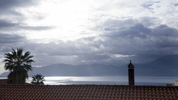 Une vue sur la côte, avec un toit recouvert de tuiles, des palmiers et une chaîne de montagnes en arrière-plan.