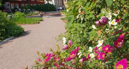 Hedemora stadshotell