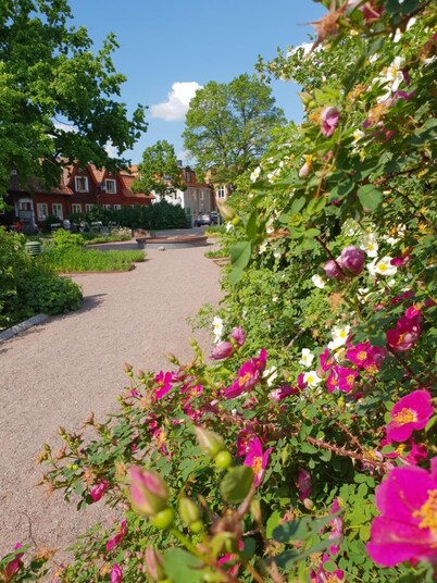 Hedemora stadshotell