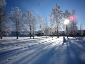 Un parc enneigé, avec des arbres sans feuilles et un ciel dégagé.