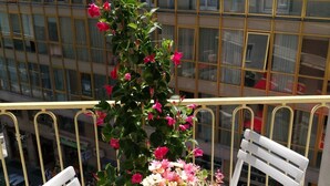 A balcony with a white table and two white chairs, a vase with flowers, and a view of a building with balconies and windows.