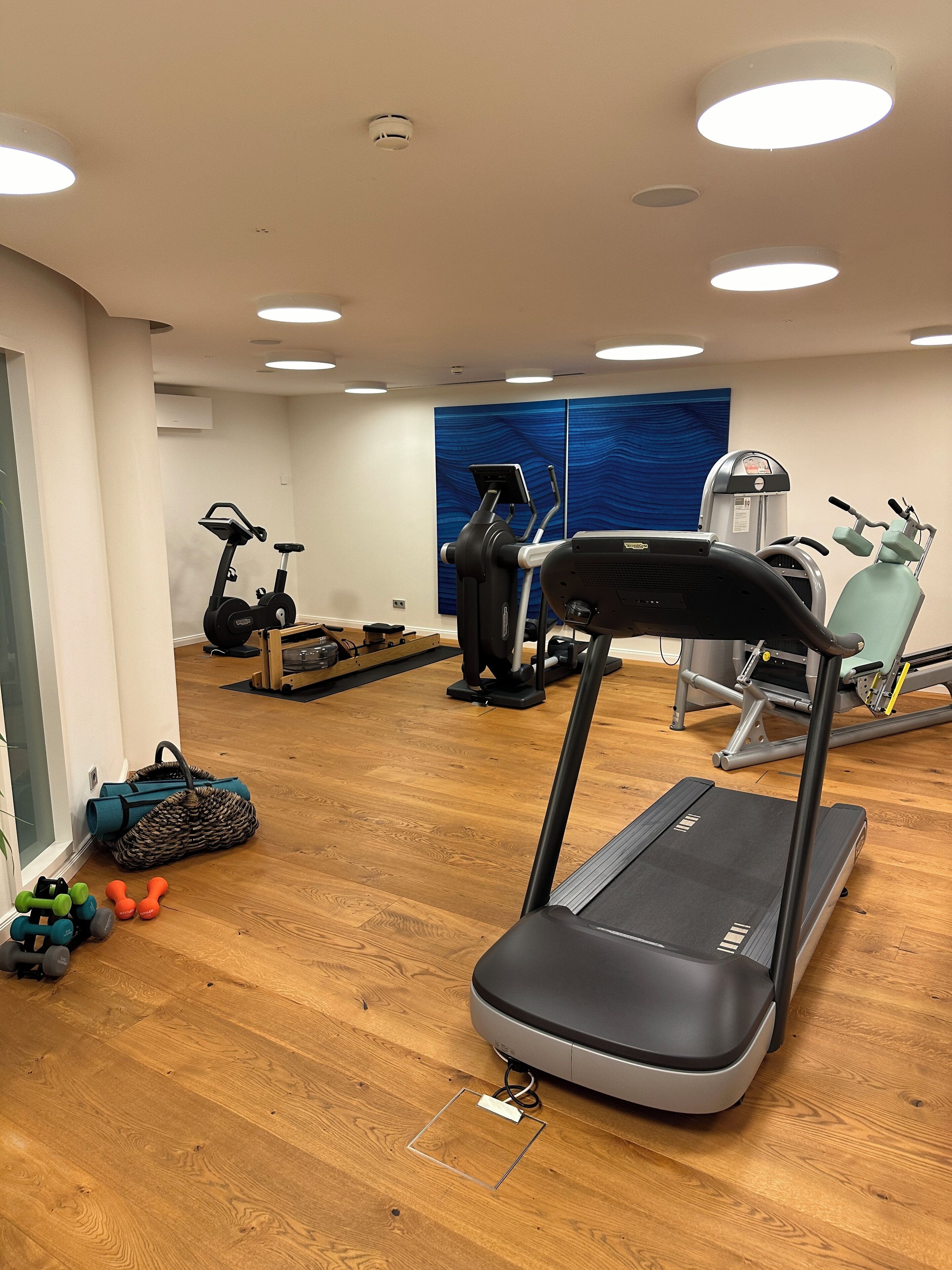 A gym with a treadmill, elliptical, and weights.