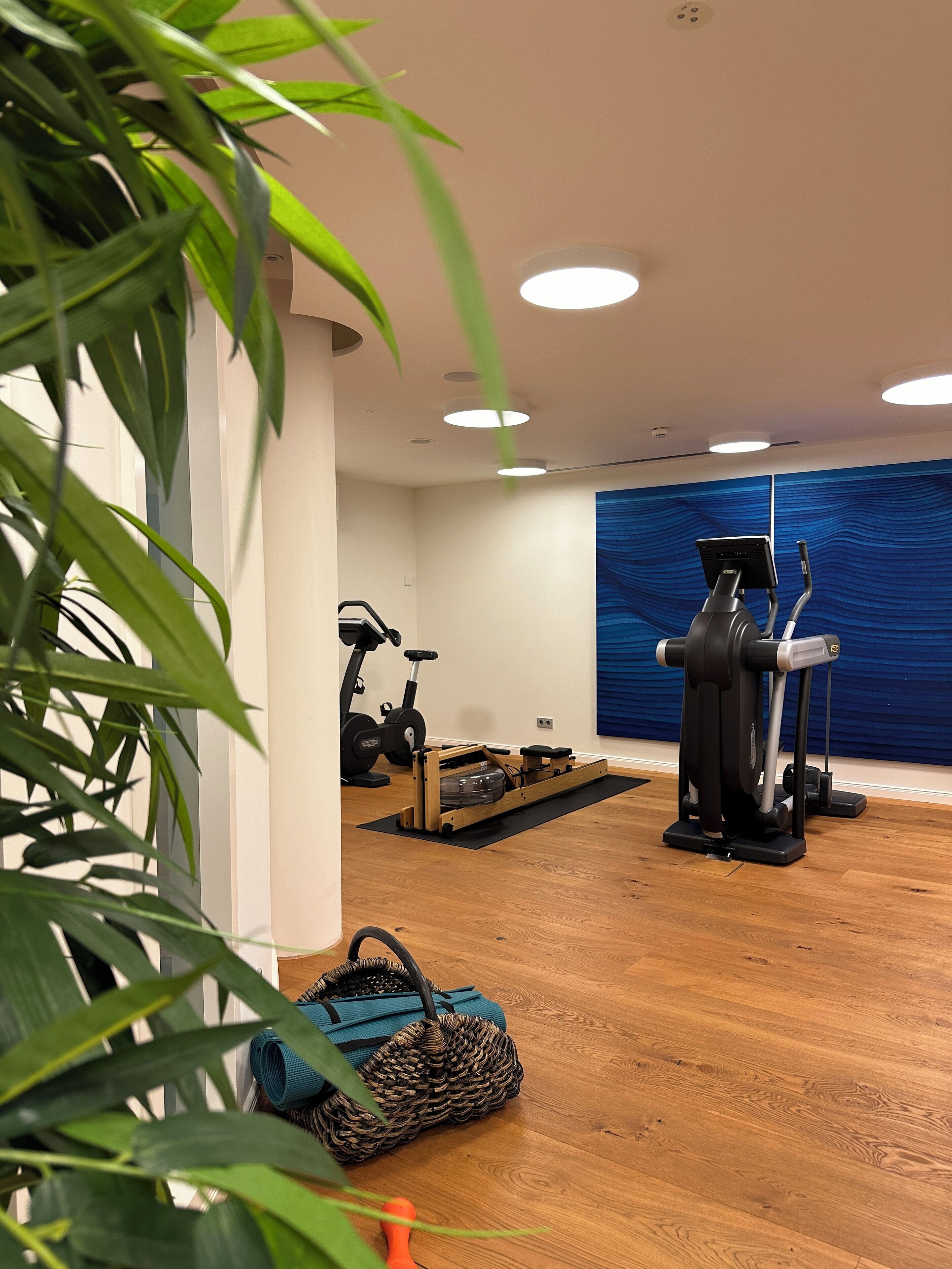 A gym with exercise equipment, a blue wall, and wooden flooring.
