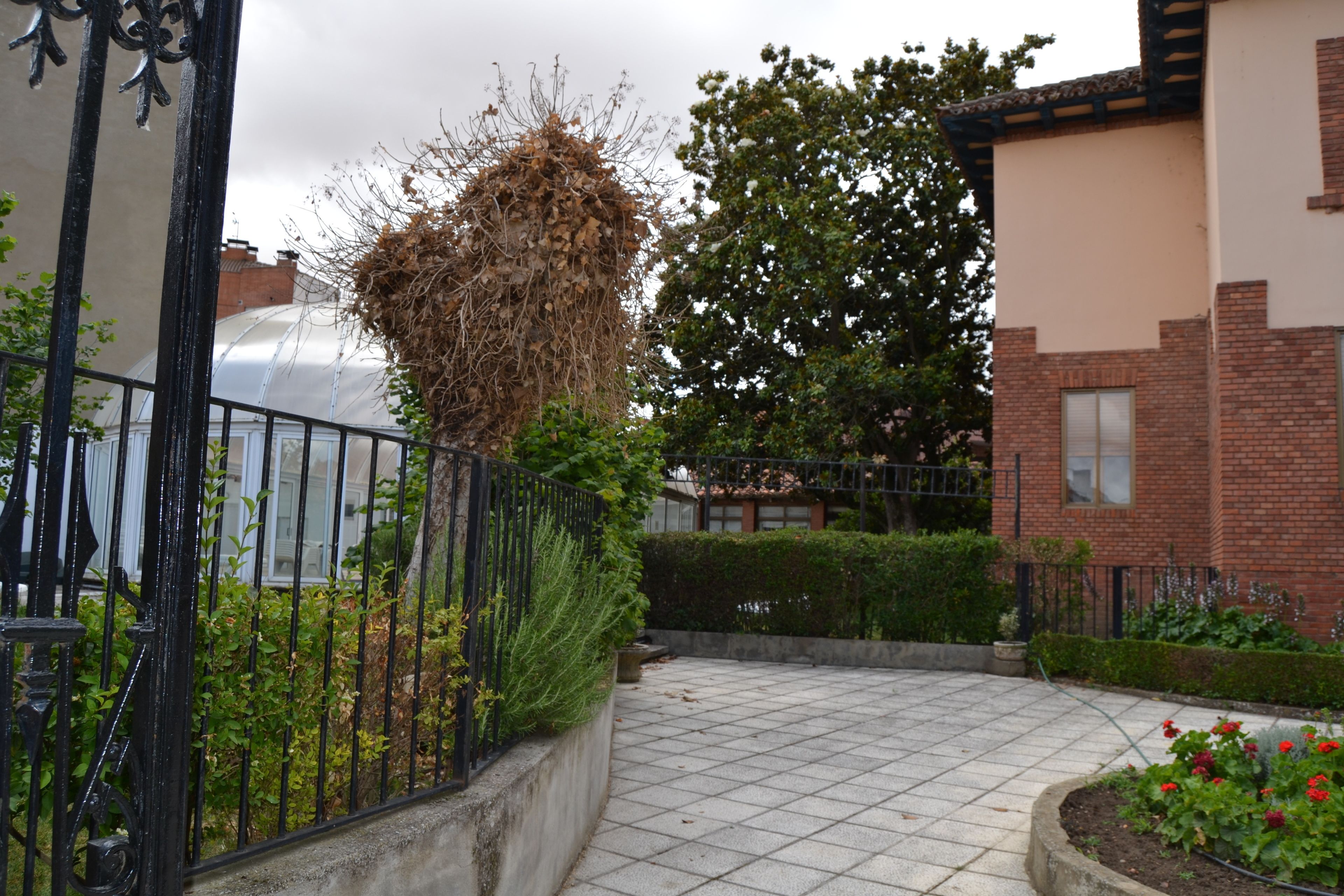 A courtyard with a tiled floor, a metal fence, and a variety of plants and flowers.