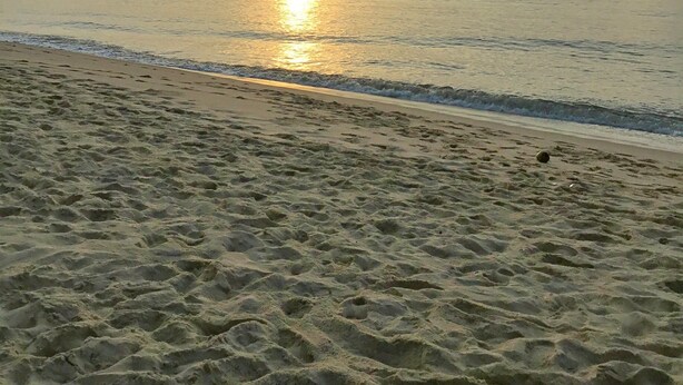 A beach with a calm sea and a sunset in the background. - The Bay Mui Ne (Mui Ne)