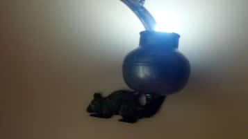 A ceiling-mounted light fixture with a curved design.