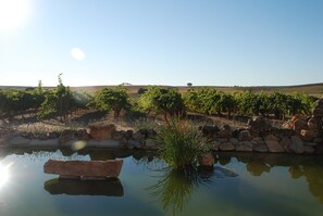 บริเวณภายนอก