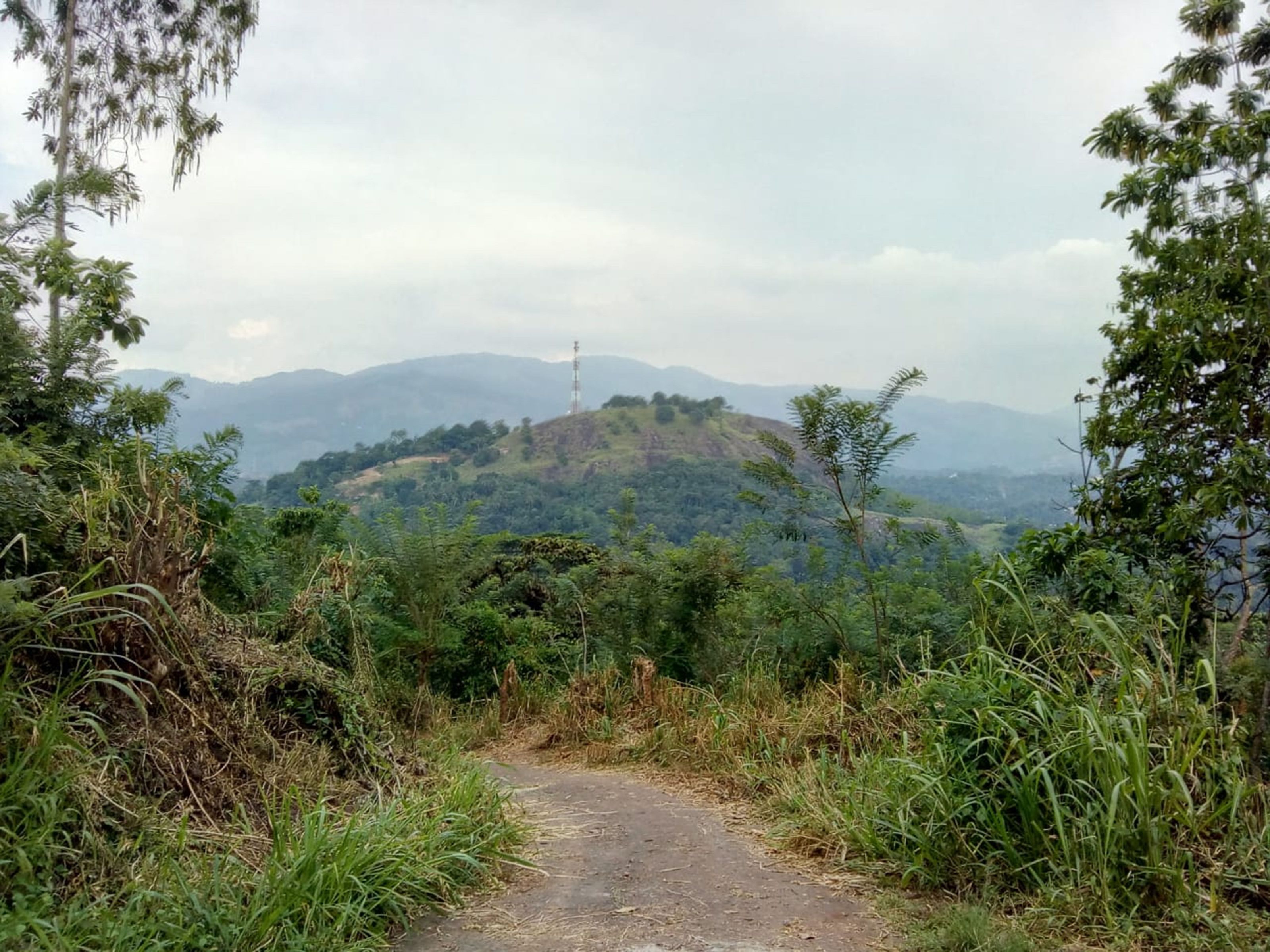 A dirt path leading to a hill with a communication tower.