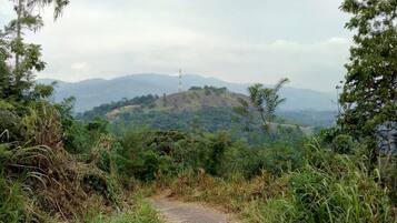 A dirt path leading to a hill with a communication tower.