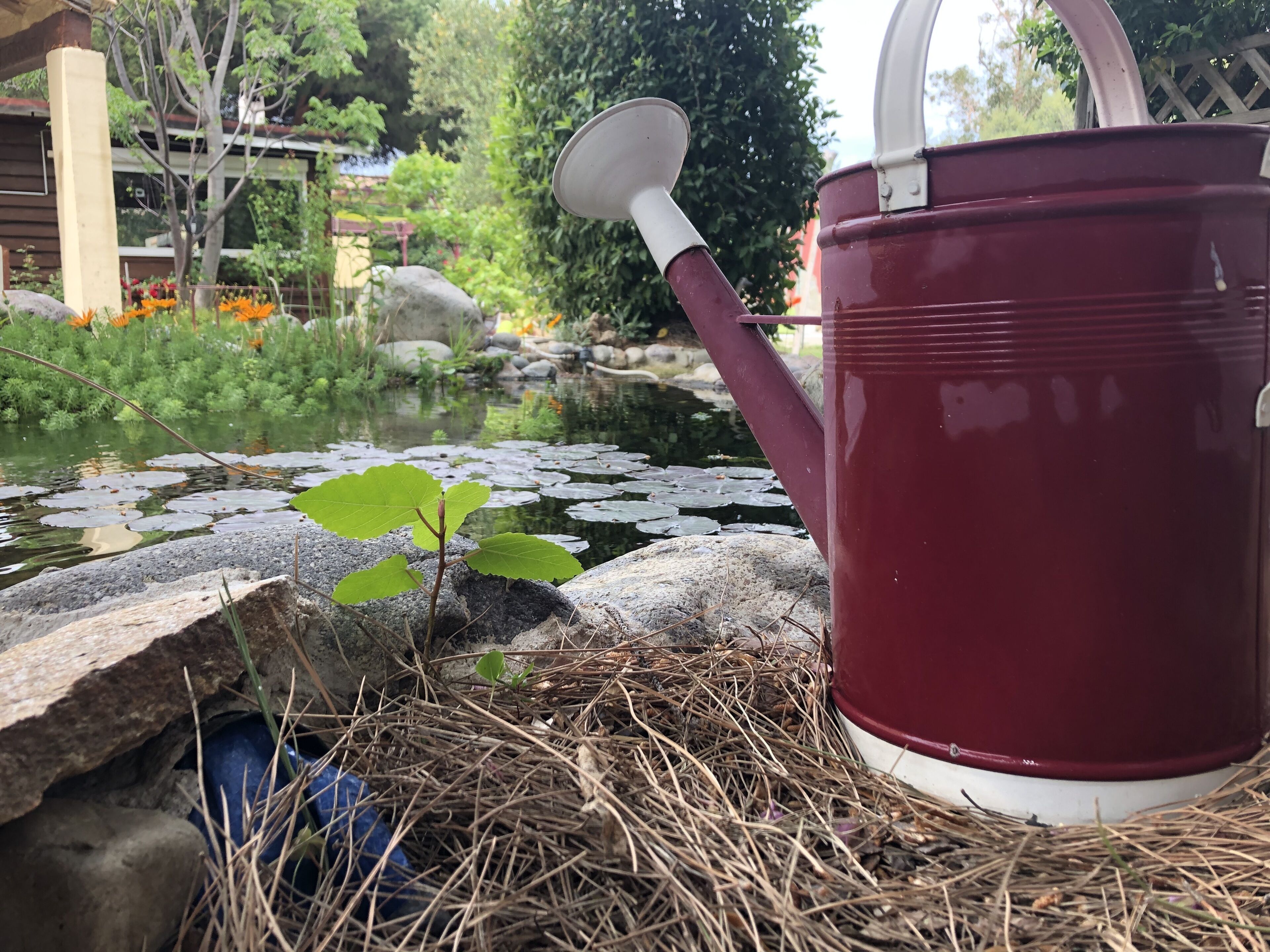 Photo - Casa di Floumy