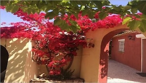 Property entrance - Casa Di Floumy (Calvi)