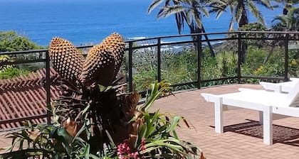 Wailana Beach Lodge