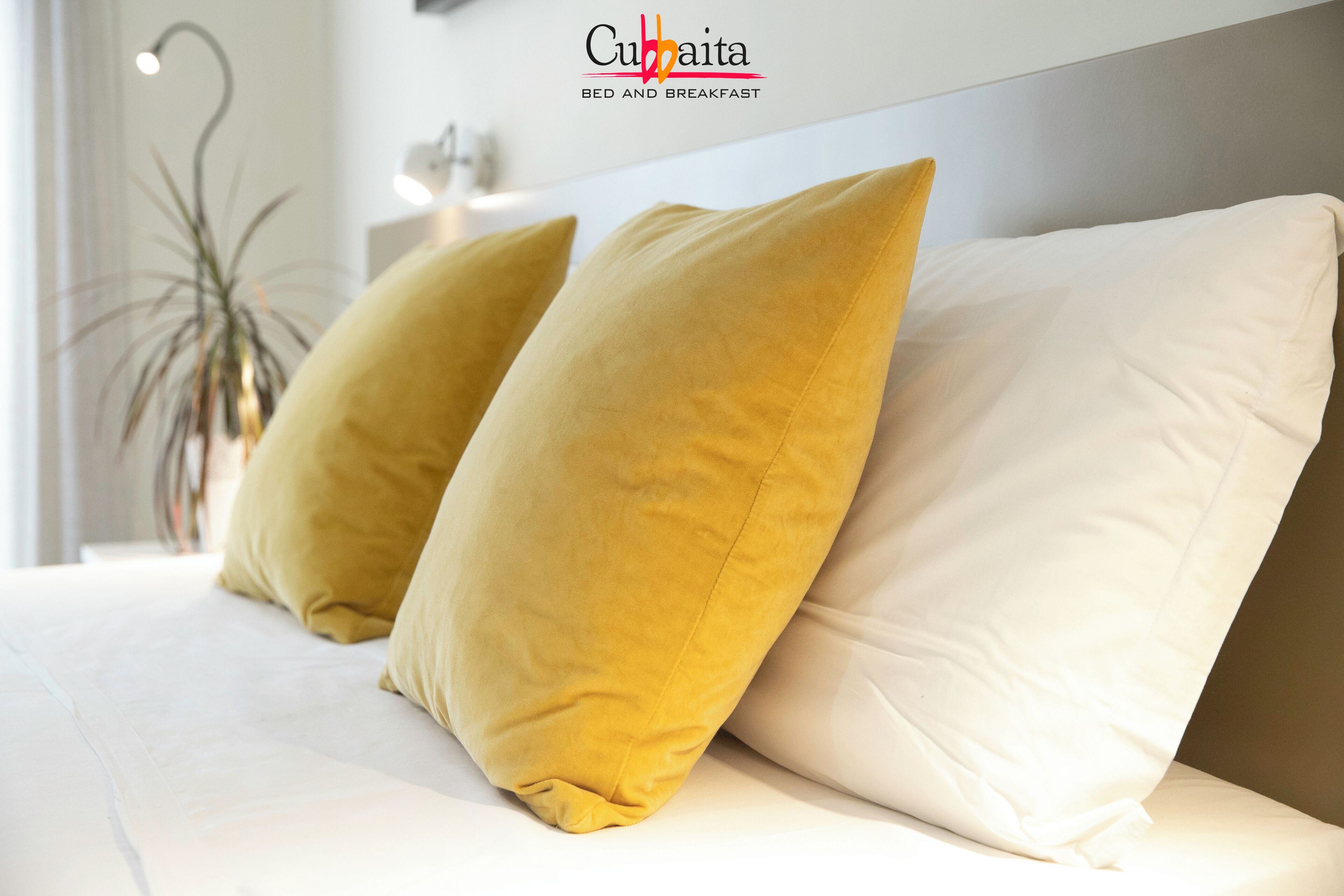 Photo - B&B Cubbaita