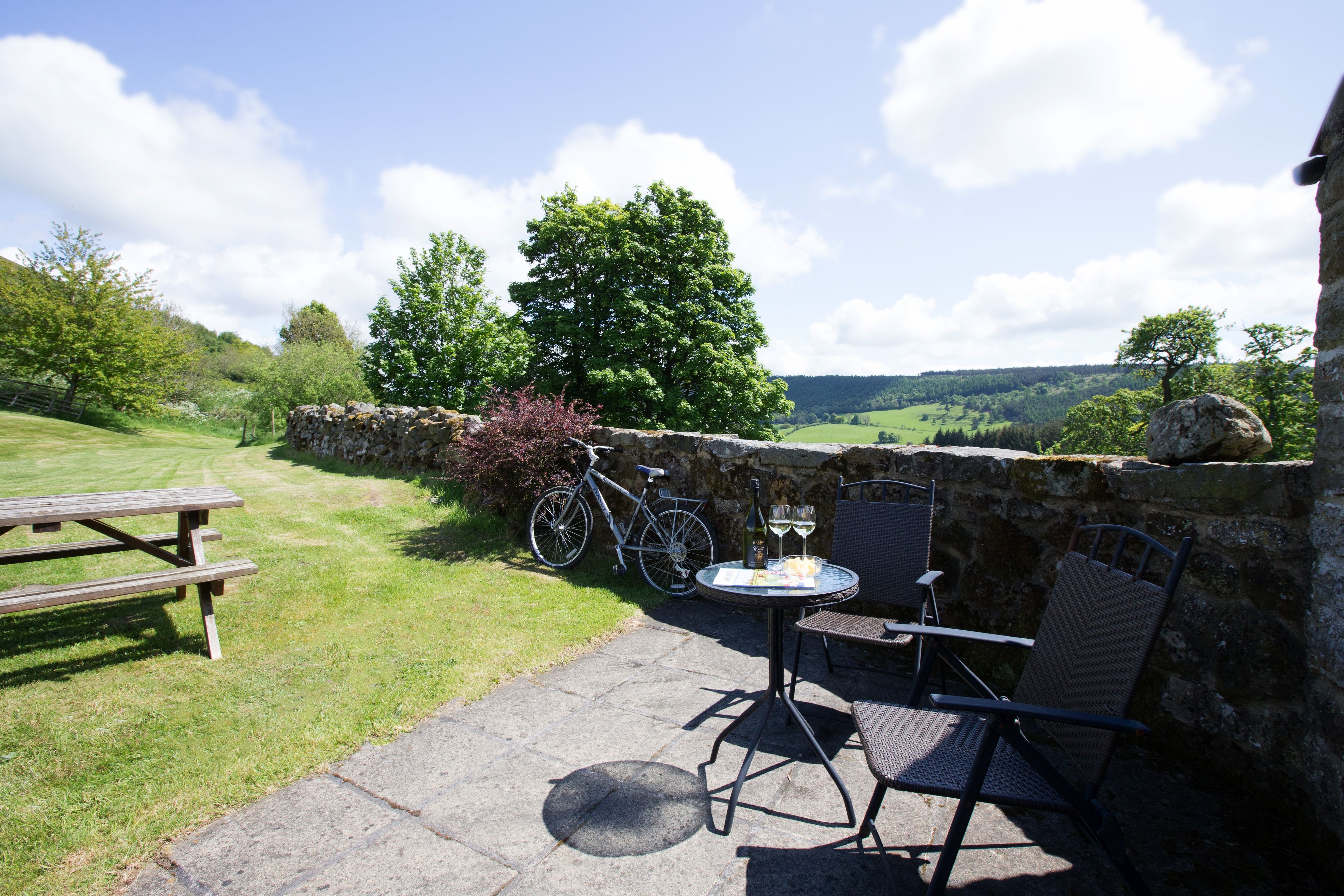 客房 (Carthouse) | 露台/庭院