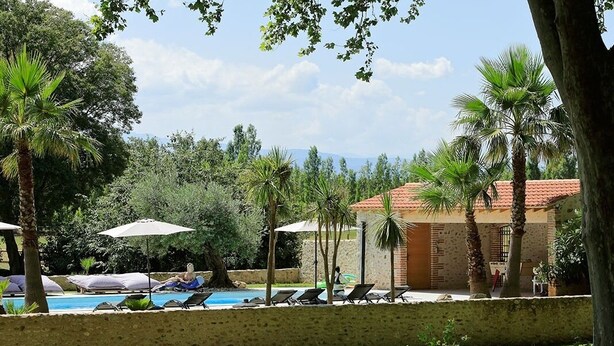 Un área junto a la piscina con sillones de descanso, sombrillas y palmeras.