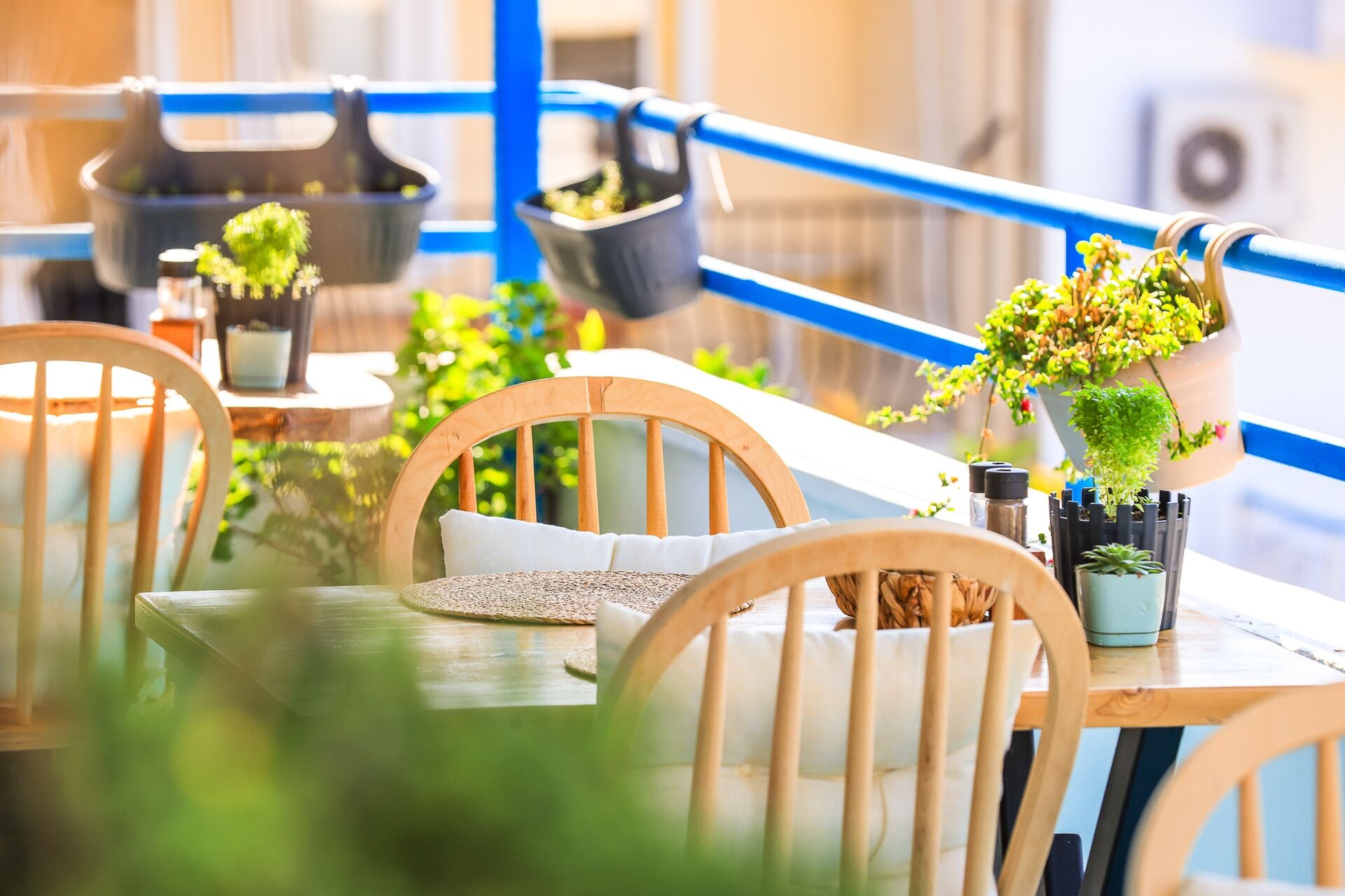 A dining area with a wooden table, chairs, and potted plants.