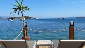 Relax on the deck with a view of the water, surrounded by a potted plant and a small table.
