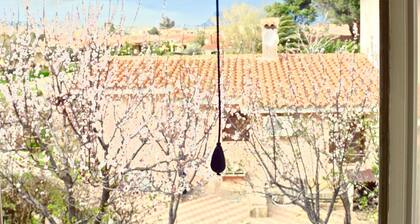 San Teodoro Bologna 2