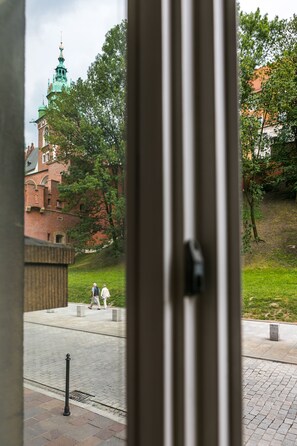 皇家公寓, 1 張加大雙人床 | 客房景觀